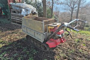 Motocarretta Honda HP400