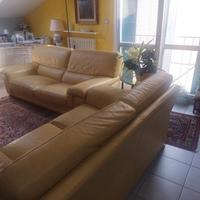 due divani in pelle giallo 