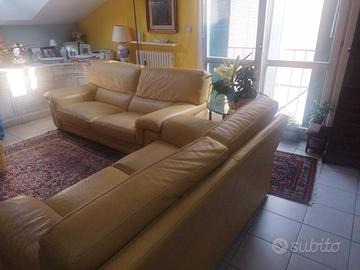 due divani in pelle giallo 