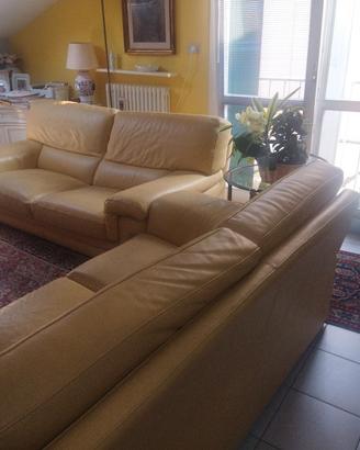 due divani in pelle giallo 