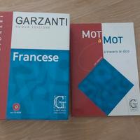  dizionario francese 