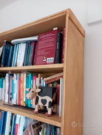 Libreria in larice
