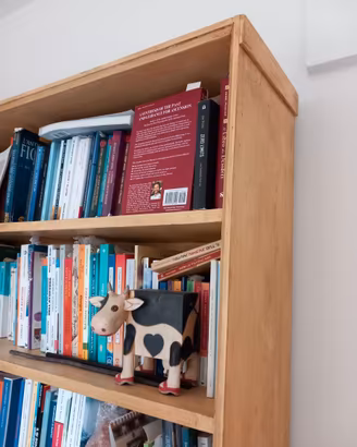Libreria in larice