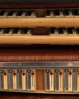 Fisarmonica Weltmeister Supita Seria 483