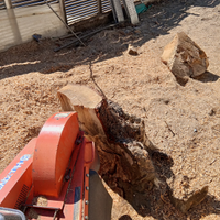 Rimozione ceppi giardino