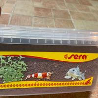 Sera Ghiaia Marrone 2-3 Mm 3 Lt