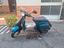 Immagine 1