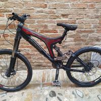 Specialized Downhill tg M