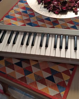 Roland PC200 mkII midi keyboard 
