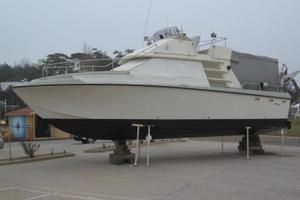 Stupendo Deepsea 32 Coronet cabinato 10mt