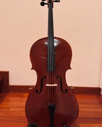 Violoncello 1/4 suono tondo