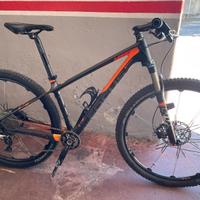 MTB Focus Raven 29
