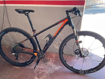MTB Focus Raven 29