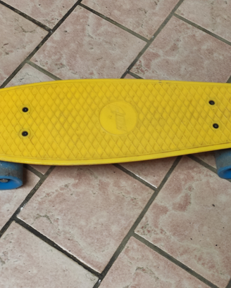 Skate Board