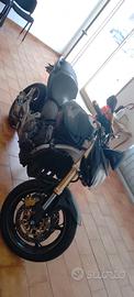 Honda Hornet