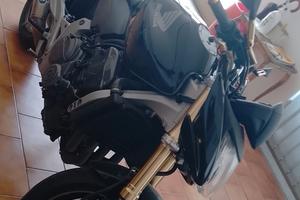 Honda Hornet