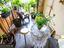 Immagine 27