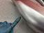 Immagine 21