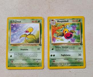 Bellsprout 49/64 e Weepinbell 48/64
Jungle Pokemon
