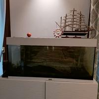 Acquario juwel rio 180