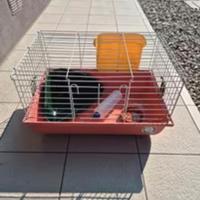 gabbia per coniglio imac 