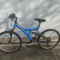 Mountain bike Eagle