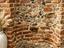 Immagine 29