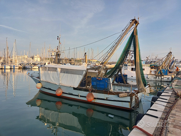 Barca da Pesca con licenza strascico/posta; pesche