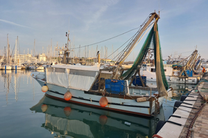 Barca da Pesca con licenza strascico/posta; pesche