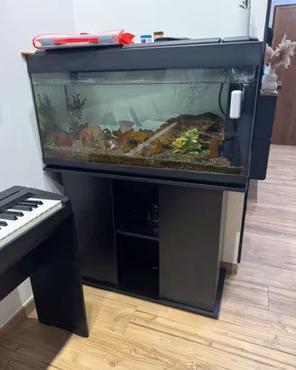 Acquario acqua dolce 220 litri