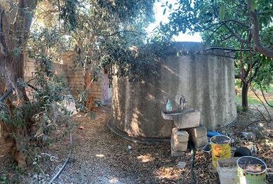 Terreno con annesso agrumeto