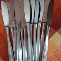 12 coltelli in acciaio inox 