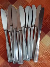 12 coltelli in acciaio inox 