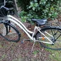 bicicletta da donna 