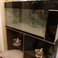 ACQUARIO