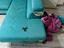 Immagine 3