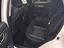 Immagine 13