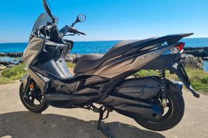 Kawasaki J300