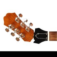 chitarre elettriche acustiche ed bassi