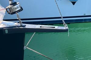 delfiniera in carbonio