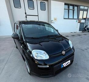 Fiat panda gpl