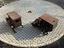 Immagine 4