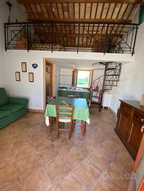 Monolocale mansardato