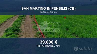 Immobile in asta di 92554 m² a San Martino in Pens