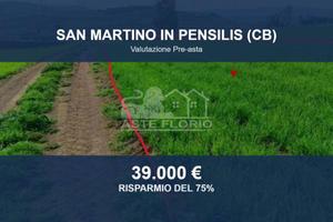 Immobile in asta di 92554 m² a San Martino in Pens