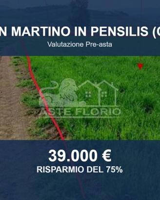Immobile in asta di 92554 m² a San Martino in Pens