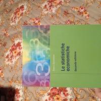 libro le statistiche economiche 