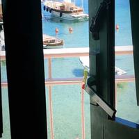 Vacanze al mare