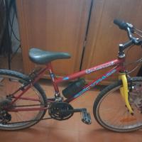 bicicletta montanbike 24