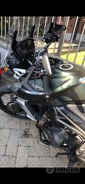Tiger 800XCX